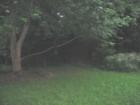 Typical Yards