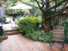 Yard Photo