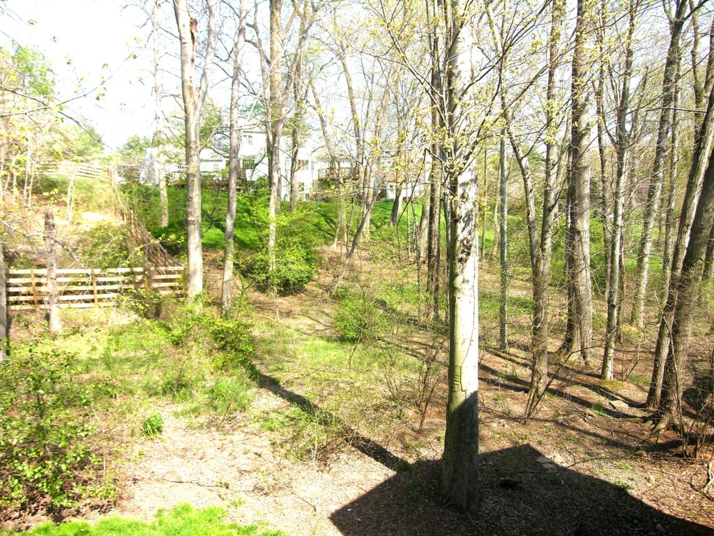 Large Yards