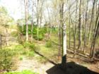 Large Yards