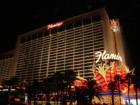 The Flamingo Hotel and Casino