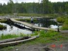 Boardwalk at Temagami fire tower