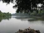 Red Bud Isle