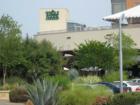 Whole Foods Downtown
