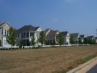 Charlestons lined up in Bedford at Falls River, Raleigh, NC