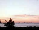 Whihala Park with Chicago Skyline Sunset in background.