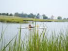 Chaffinch Island