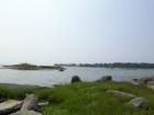 Chaffinch Island Park