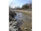 Bull creek