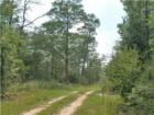 10 Acres for sale on Stallion in Crestview Florida Acreage for sale