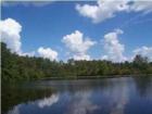 The lake on the 68 Acre Baker Horse ranch property