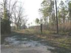 Highway 393 in Laurel Hill 80 acres for sale