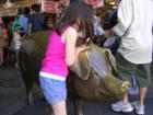 Pike Place Market's Rachel the Pig recieving a "piggy bank" donation from a young Market supporter.