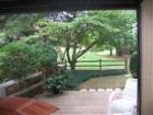 Typical TH Backyard