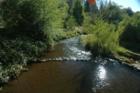 Murphys Creek on the bridge near Murphys Park.