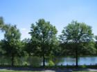 Lake at Walkers Choice