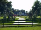 Estate Home in Stonegate