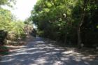 Peralta Hills