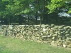 Stone fences in Loudoun County countryside.  Often 200 or more years old, they line the country roads.