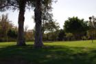 Peralta Park