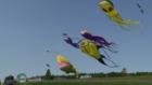 Dieppe Kite International 2007 