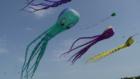Dieppe Kite International 2007