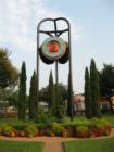 Arboredum Market