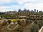 Urban Gardens by Confluence Park, Photo by Jane Wallace