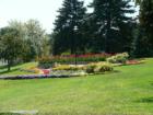 Public gardens near the Bay Bridge