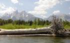 Jackson along the Snake River