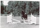 Equestrian at Orange County Park 
      G & M Riding Club