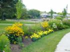 Gardens at Lion's Park on Station Street