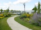 Lion's Park Path