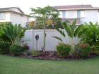 Two travellers palms and one papaya tree.  The travellers palms provide excellent coverage as they grow and sprout new leaves.  We have 5 travellers palms on our property.