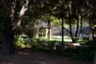 Santiago Oaks Regional Park