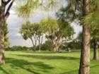 Elmwood golf course