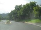 Driving Through Lakewood