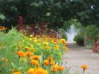 Denver's Botanic Garden adjacent to Cheesman Park