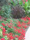 Denver's Botanic Gardens adjacent to Cheesman Park