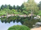 Denver's Botanic Gardens adjacent to Cheesman Park..the Japanese Garden