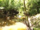 Creek in Milam County - perfect for fishing!