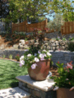 Greenbrae landscape