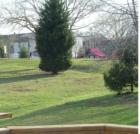 View of Oakhurst Park!