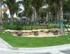 The Beach Club 