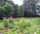 A typical yard in Oak Grove.  This small rural community has many gardens, trees, and farm fields.  