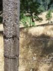 Valley of Enchantment old fence, Crestline area