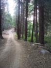 The road to nowhere in Cedarpines Highlands on the backside of Lake Silverwood