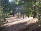 Cedarpines Highlands lots, on the backside of Lake Silverwood. This land is for sale!