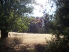 Cedarpines Highlands, behind Crestline