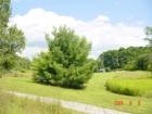 Goodrich Loomis Conservation Area